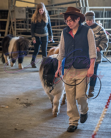 Serrang Equestrian 2018