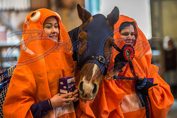 Serrang Equestrian 2018