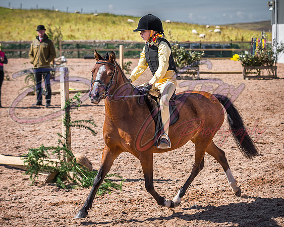 Solhiem Equestrian 2018