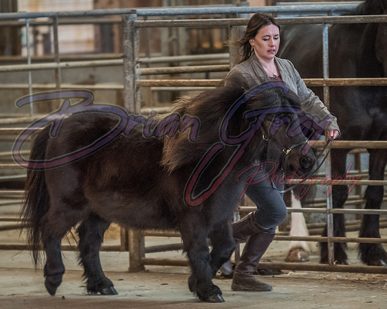 Serrang Equestrian 2018