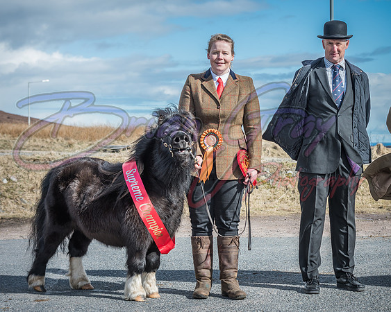 Serrang Equestrian 2018