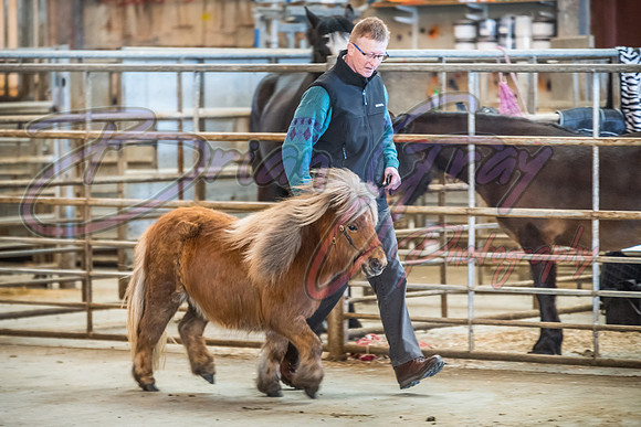 Serrang Equestrian 2018