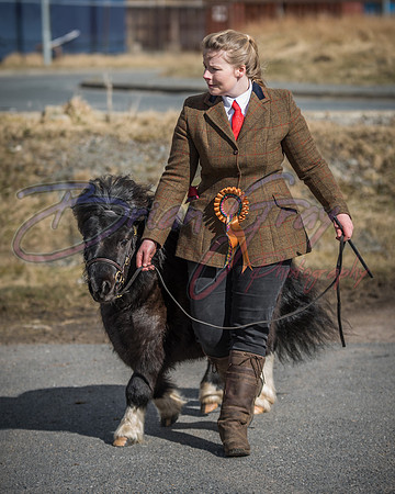 Serrang Equestrian 2018
