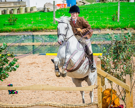 Solhiem Equestrian 2018