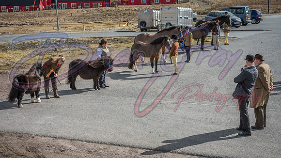 Serrang Equestrian 2018