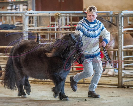 Serrang Equestrian 2018