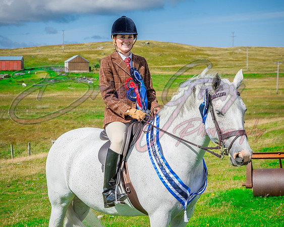 Solhiem Equestrian 2018