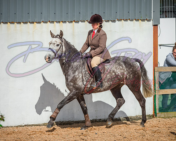 Solhiem Equestrian 2018