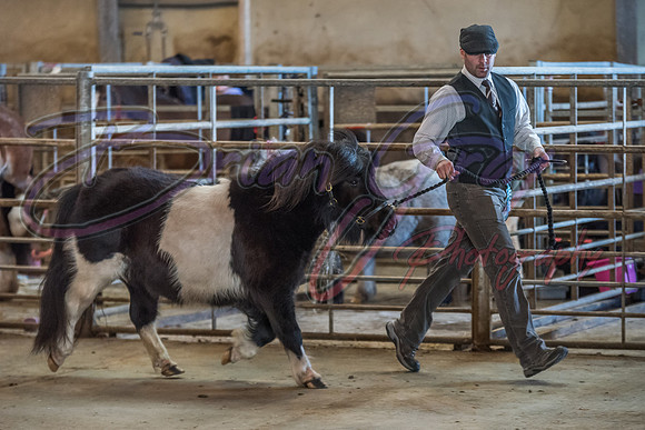 Serrang Equestrian 2018