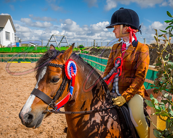 Solhiem Equestrian 2018