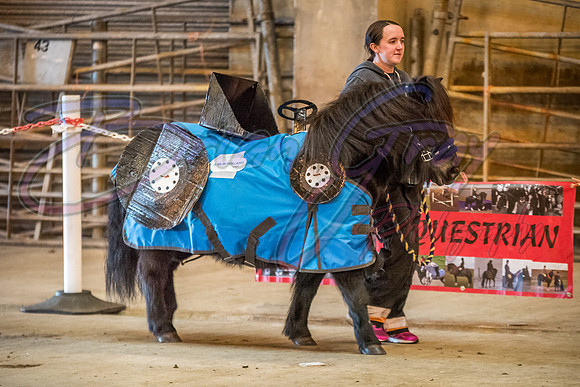 Serrang Equestrian 2018