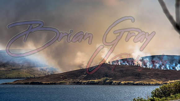 Heather Burning