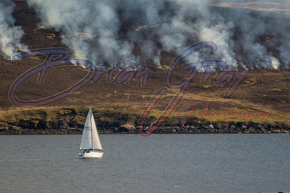 Heather Burning