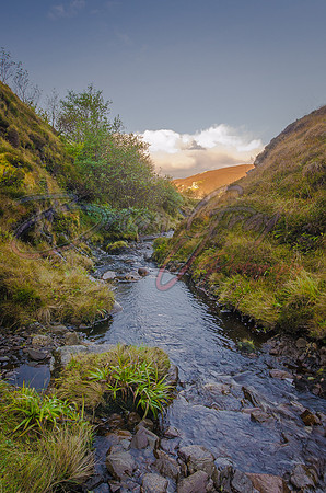 Valarye Burn