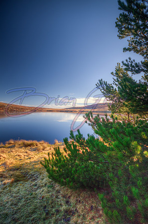 Loch of Voe