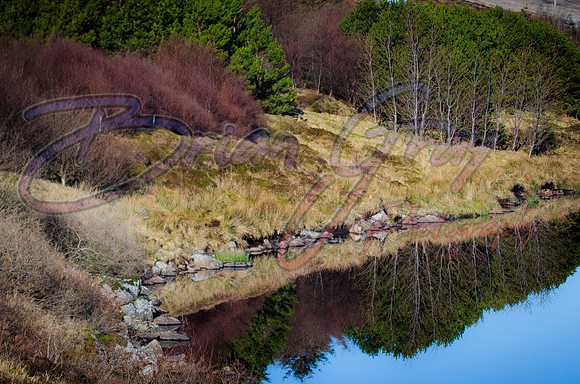 Loch of Voe