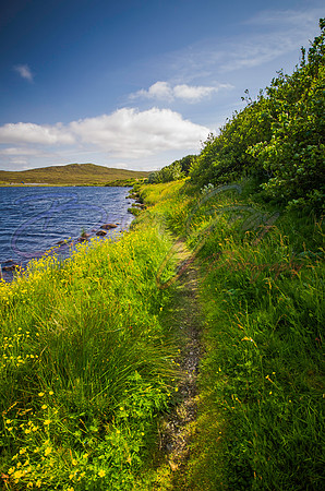 Path on the Loch