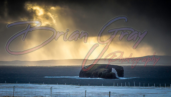 Dore Holm