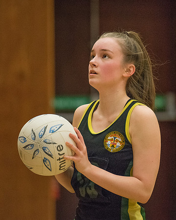 SLNA League Netball