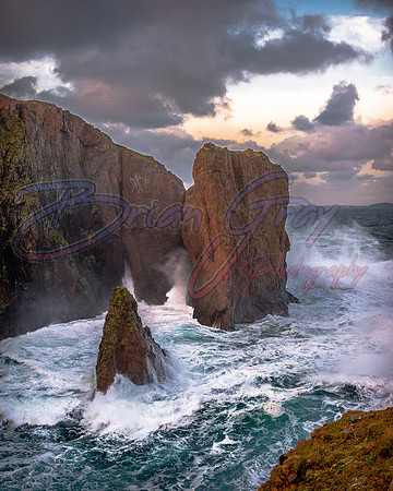 Muckle Roe