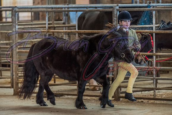 Serrang Equestrian 2018