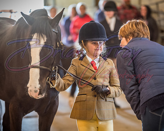 Serrang Equestrian 2018