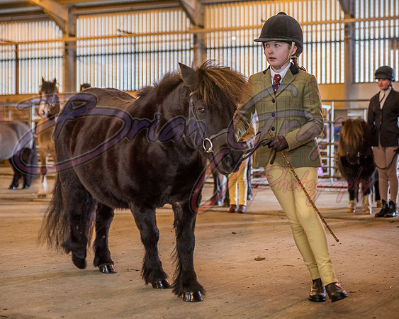Serrang Equestrian 2018