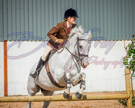 Solhiem Equestrian 2018