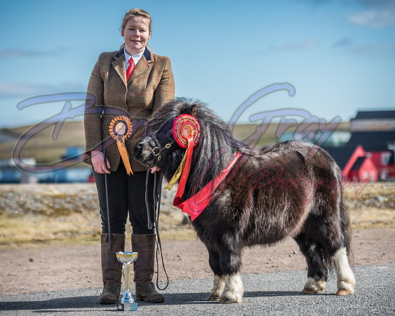 Serrang Equestrian 2018
