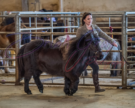 Serrang Equestrian 2018