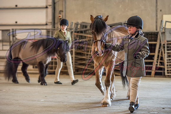 Serrang Equestrian 2018