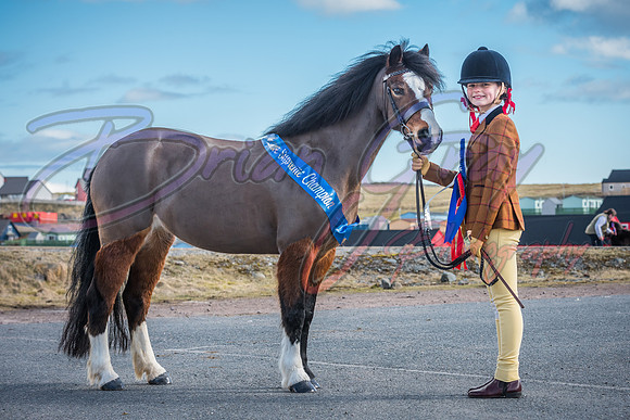 Serrang Equestrian 2018