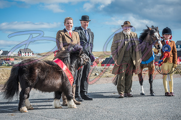 Serrang Equestrian 2018