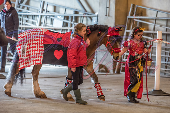 Serrang Equestrian 2018