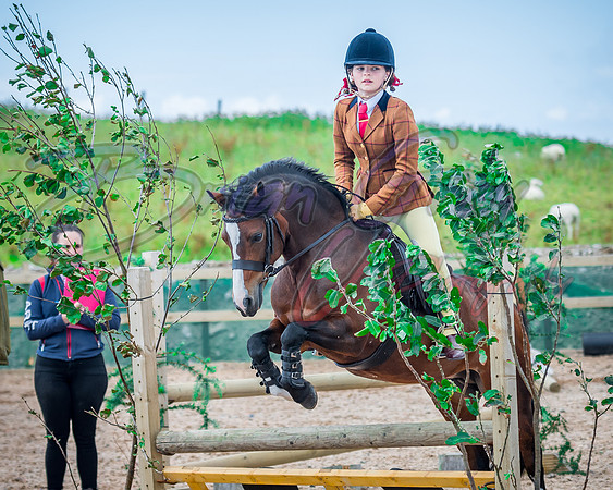 Solhiem Equestrian 2018