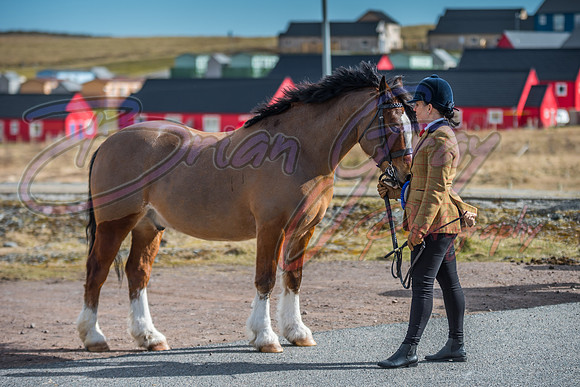 Serrang Equestrian 2018