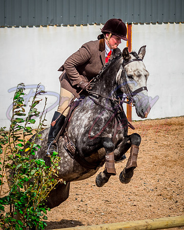 Solhiem Equestrian 2018