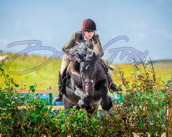 Solhiem Equestrian 2018