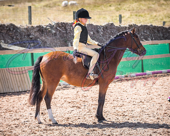 Solhiem Equestrian 2018