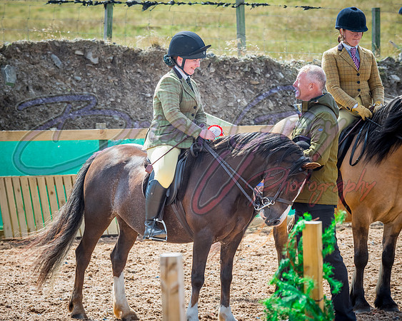 Solhiem Equestrian 2018