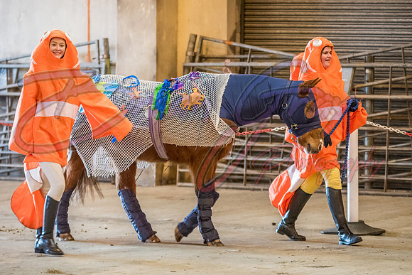 Serrang Equestrian 2018