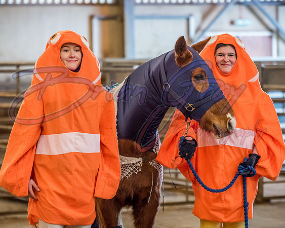 Serrang Equestrian 2018