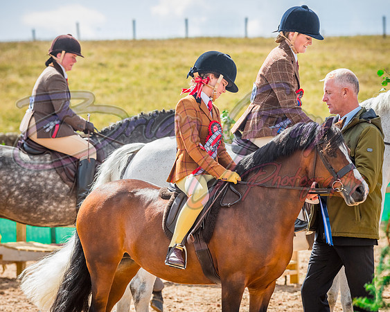 Solhiem Equestrian 2018