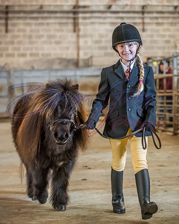 Serrang Equestrian 2018