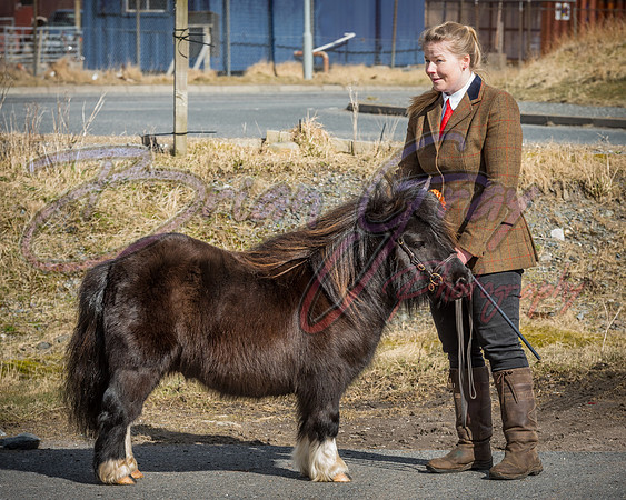 Serrang Equestrian 2018