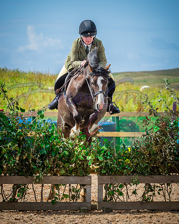 Solhiem Equestrian 2018