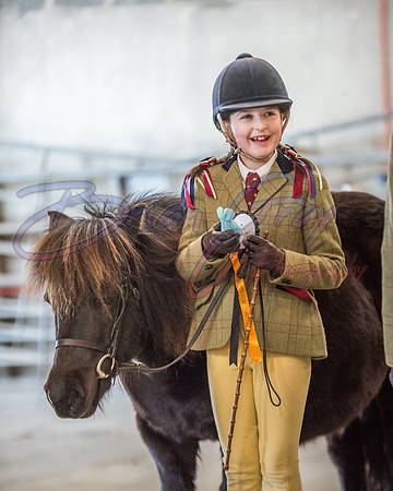Serrang Equestrian 2018