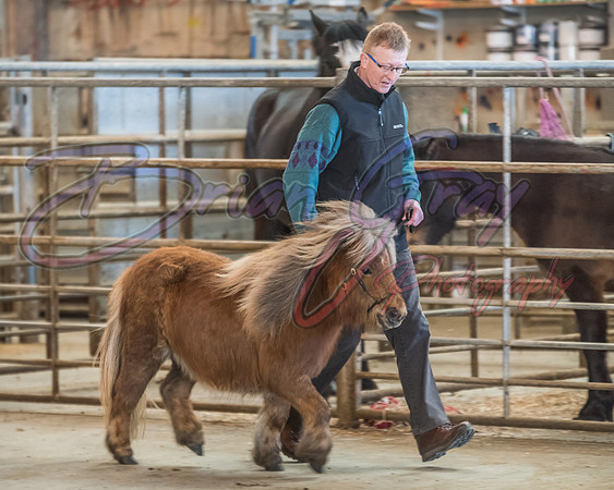 Serrang Equestrian 2018