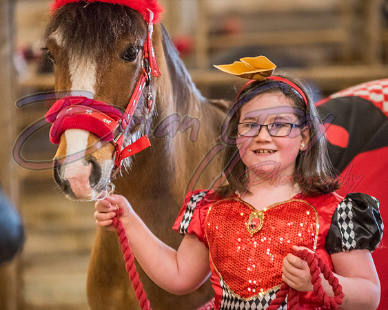 Serrang Equestrian 2018