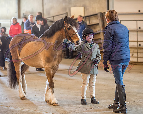 Serrang Equestrian 2018